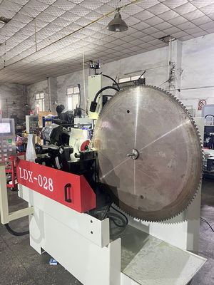 LDX-028A Máy cắt râu vòng CNC đầy đủ Blade Servo Precision Double Sharpening Head Side Angle